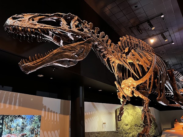 Houston Museum of Natural Science 5