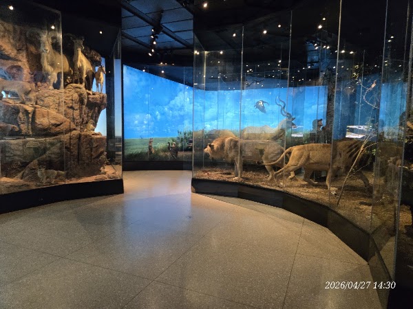 Houston Museum of Natural Science 4
