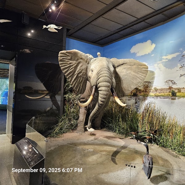 Houston Museum of Natural Science 3