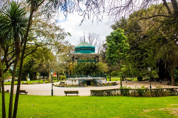 Jardim da Estrela 5