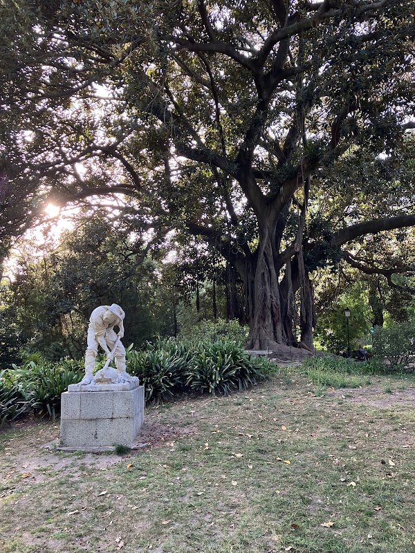 Jardim da Estrela 3