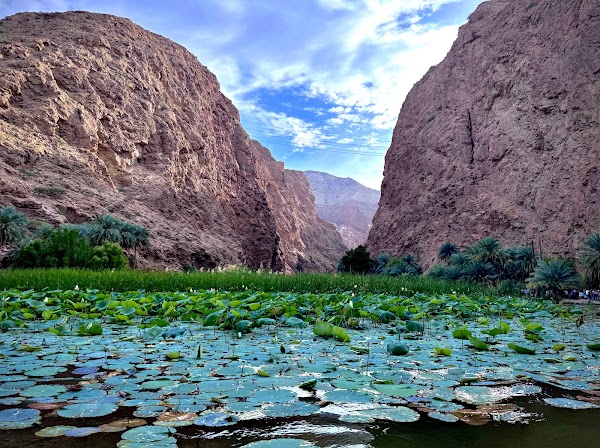 Wadi Ash Shab 4