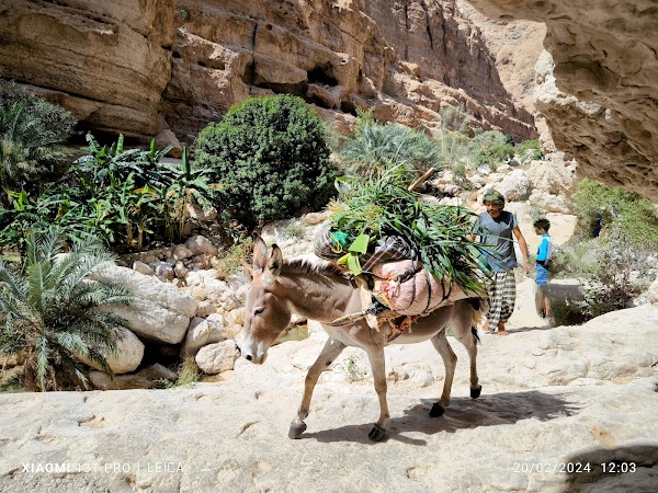Wadi Ash Shab 2