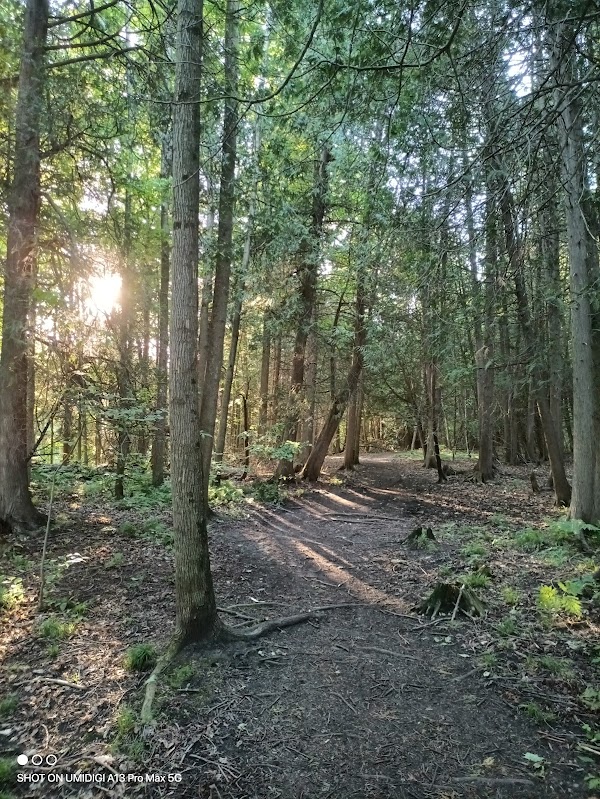 Nottawasaga River Trail