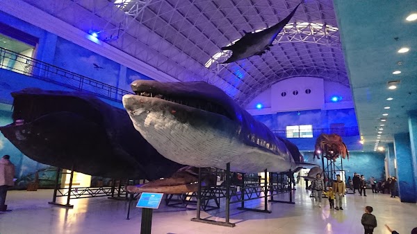 Dalian Natural History Museum 3