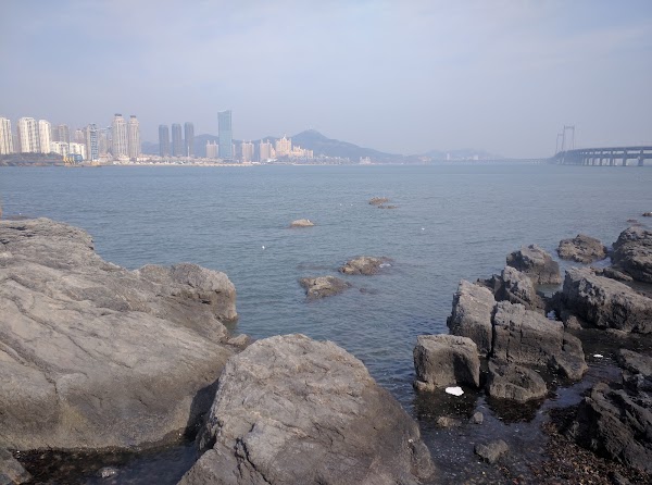 Dalian Natural History Museum 2