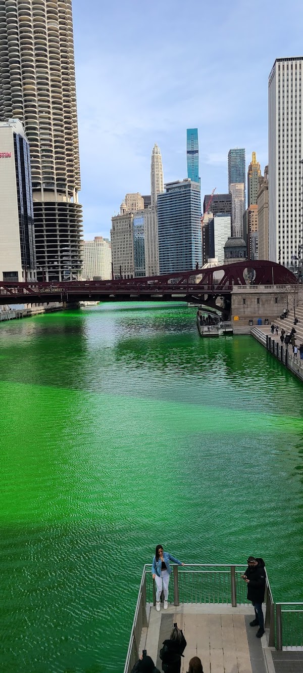 Magnificent Mile 4