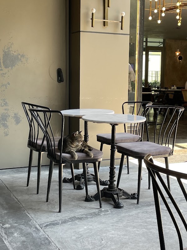 Hole Coffee & Matcha Co. 1