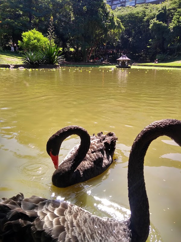 Parque Eduardo Guinle 3