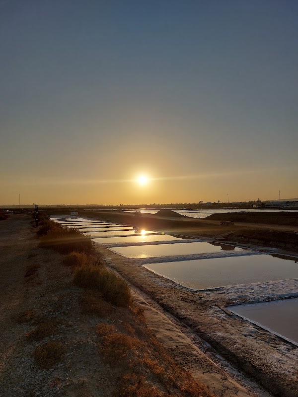 Salinas do Grelha 4