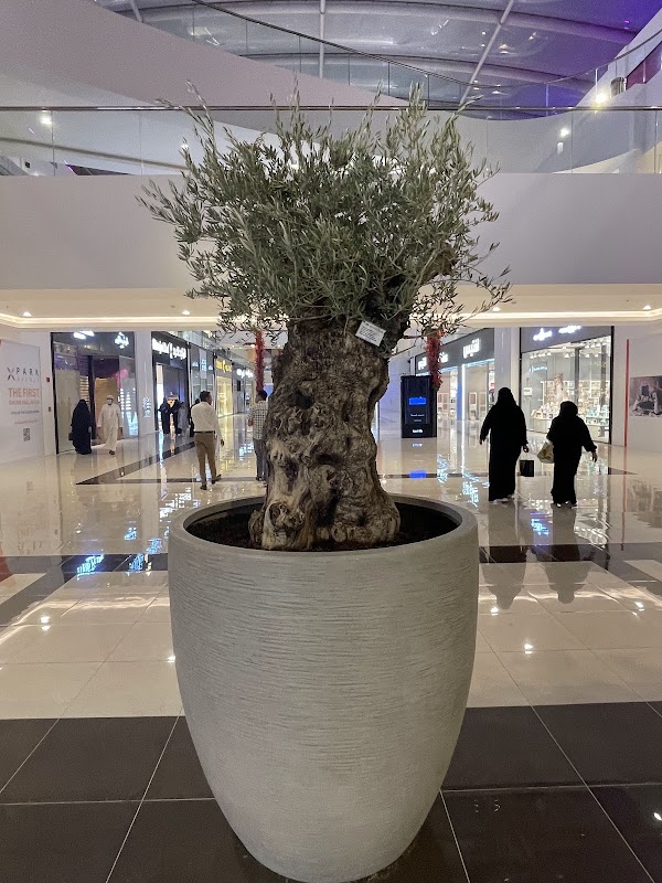 Park Avenue Mall 4