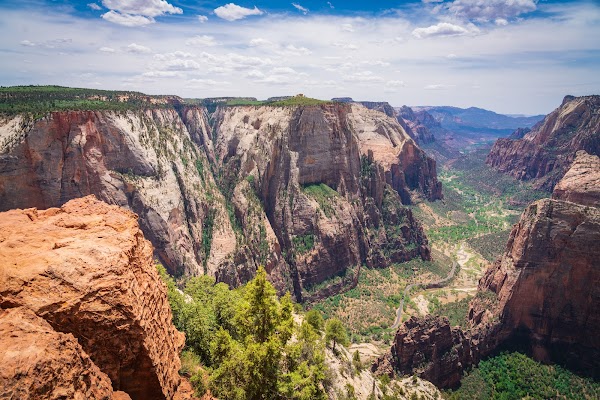 Observation Point Trail