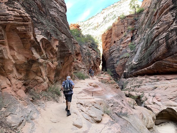 Observation Point Trail 5