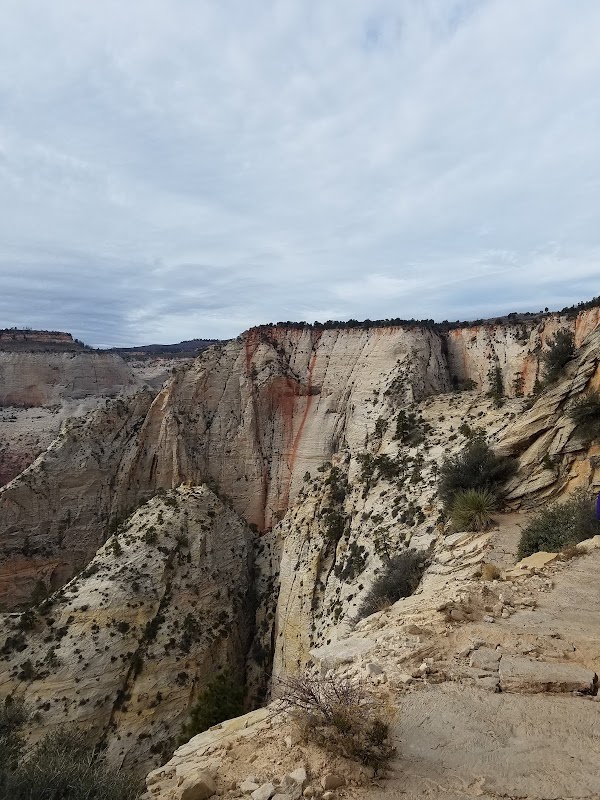 Observation Point Trail 2