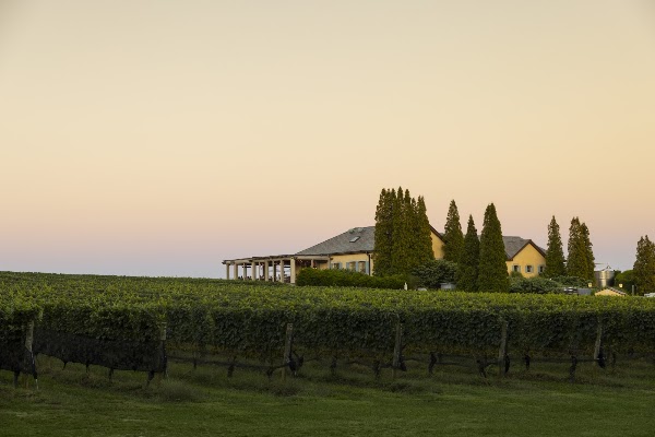Wölffer Estate Vineyard