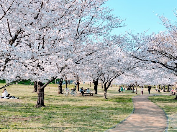 Sayama Park 5
