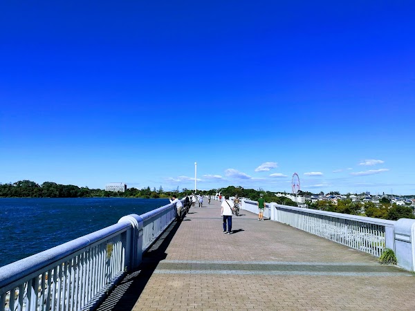 Sayama Park 2