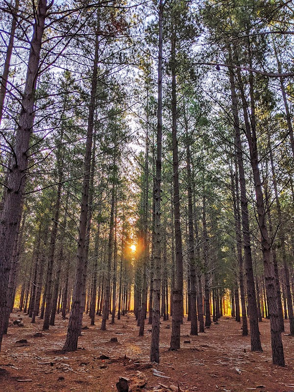 Tokai Park 1