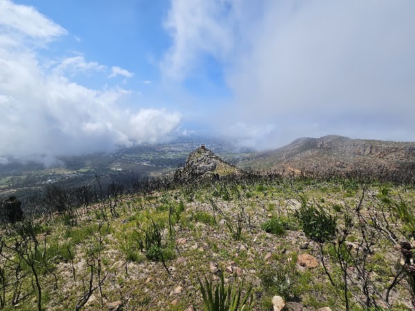 Tokai Park 3