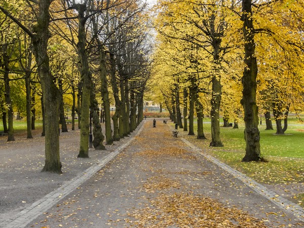 Humlegården 3
