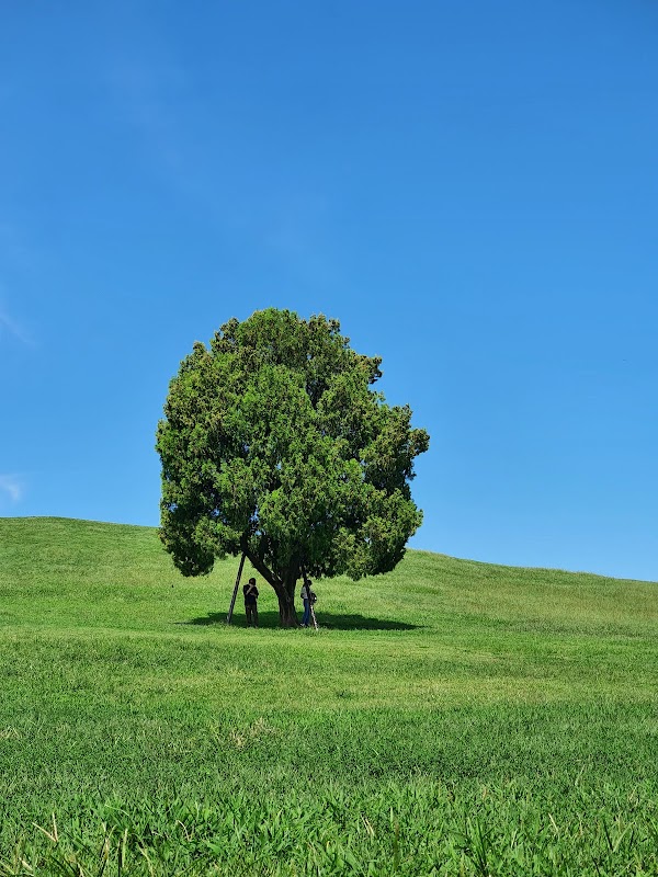One Tree Hill 1
