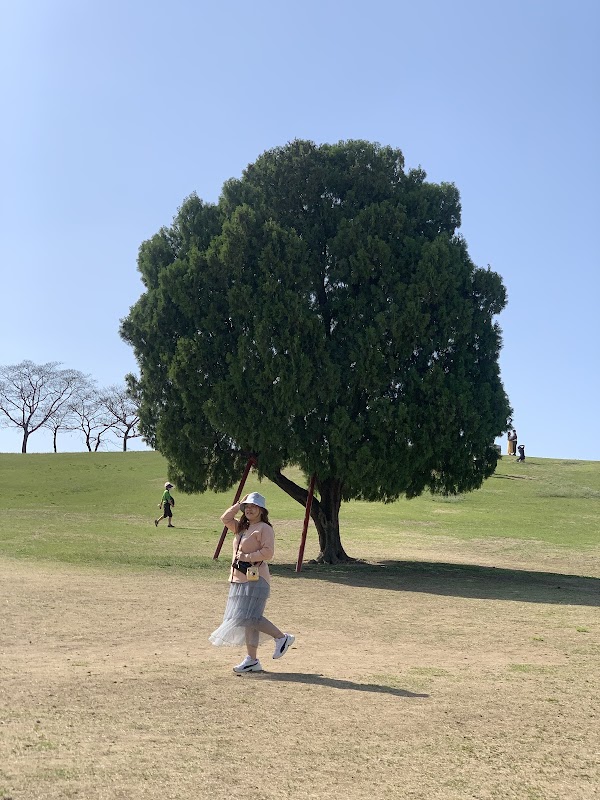 One Tree Hill 5