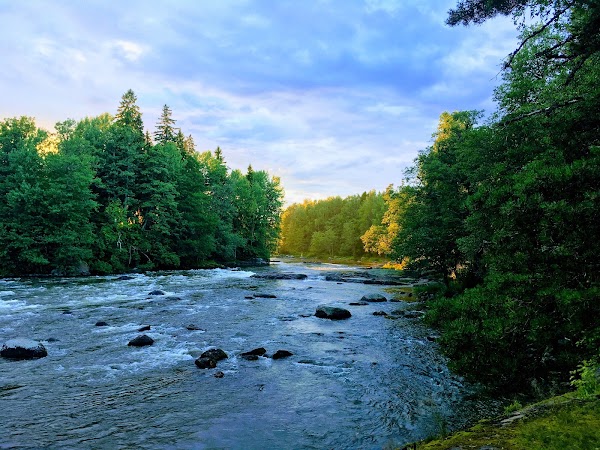 Siikakoski Rapids Park and Arboretum