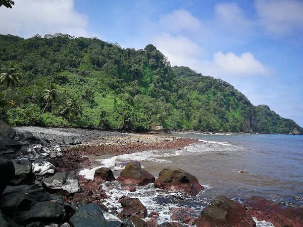 Cocos Island National Park Costa Rica 4