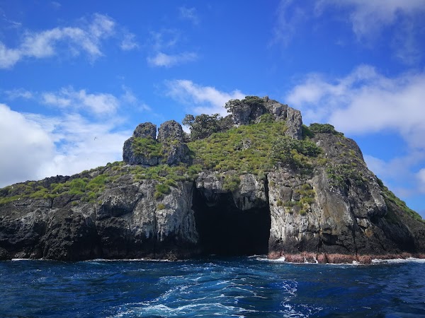 Cocos Island National Park Costa Rica 2