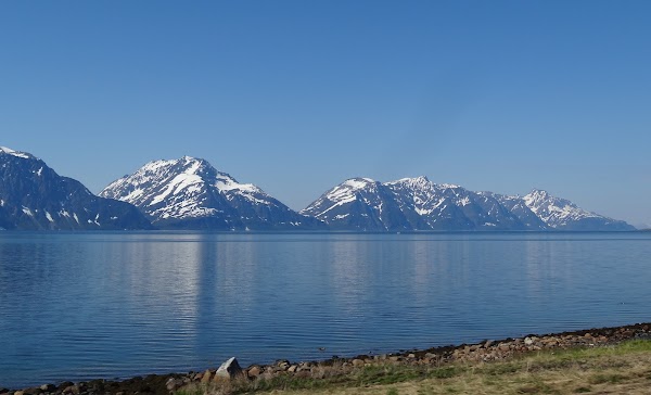 Lyngseidet