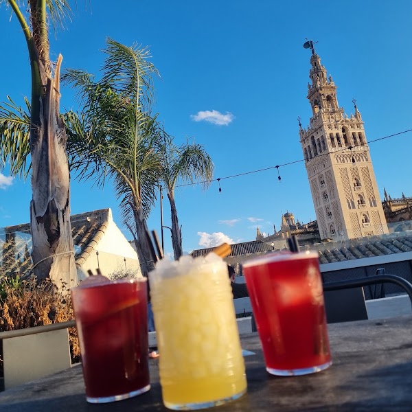 Pura Vida Terraza 3