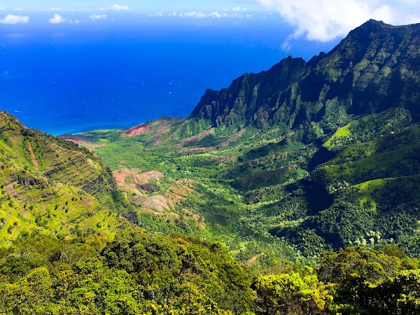 Hawaii 49