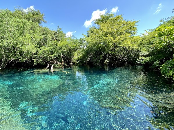 Indigenous Eyes Ecological Reserve 1