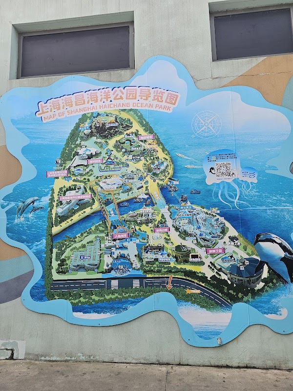 上海海昌海洋公园 5
