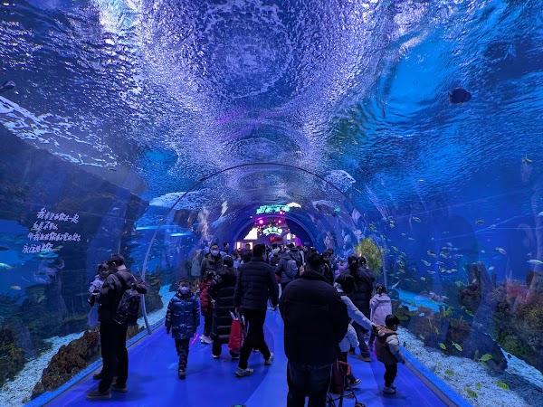 上海海昌海洋公园 2