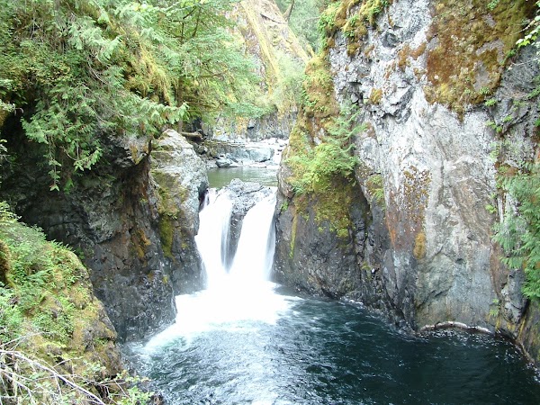 Englishman River Falls Provincial Park 5
