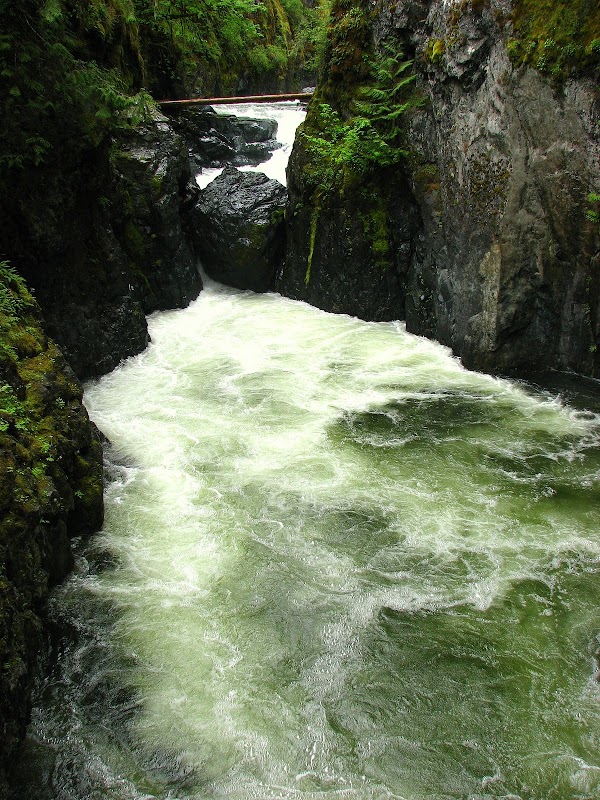 Englishman River Falls Provincial Park 4