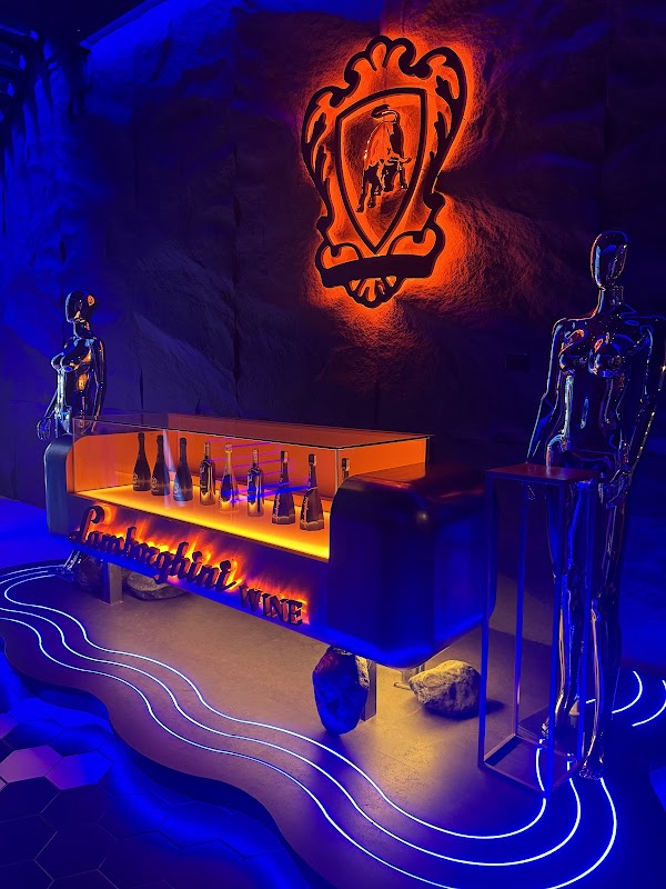 ELYSIUM Immersive Club 4