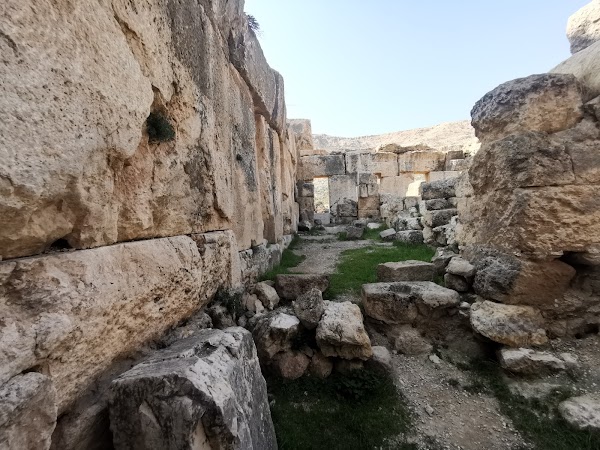Amman 2