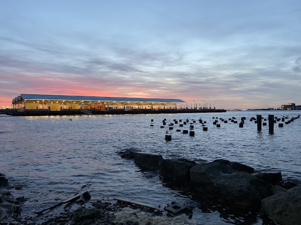 Old Pier 1 5
