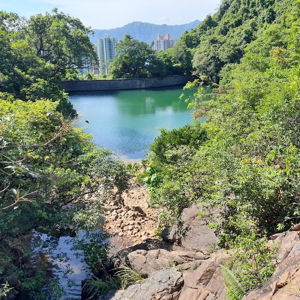 Ngau Wu Reservoir 5