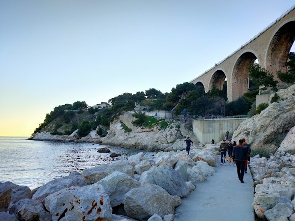 La seyne 14
