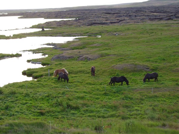Reykjahlíð 2