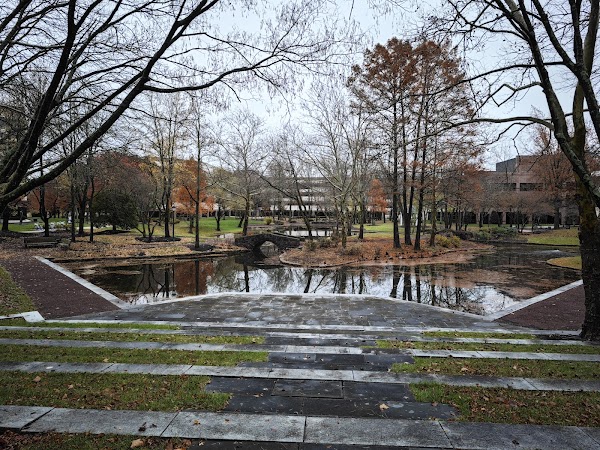 Lotus Pond in Carnegie Center 1