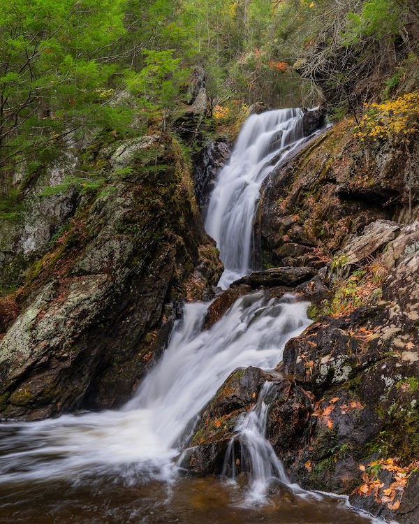 Campbell Falls