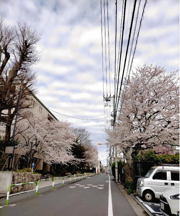 Japan 49