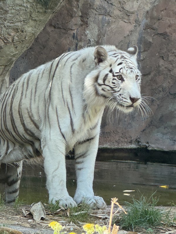 Bioparco di Roma 5