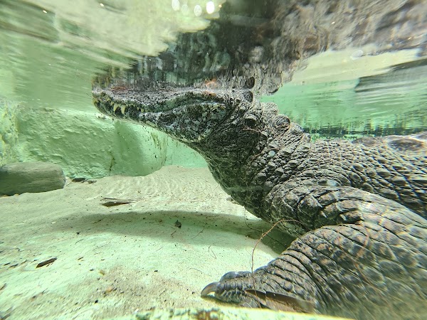 Bioparco di Roma 4