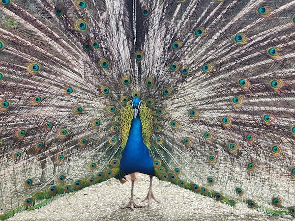 Bioparco di Roma 3