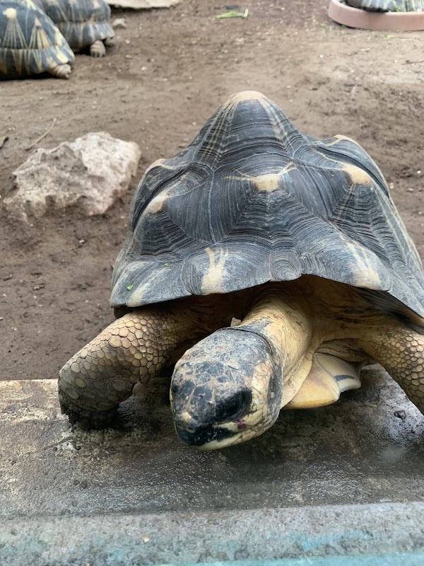 Bioparco di Roma 2